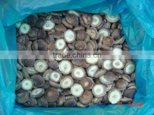 New season Whole Part preserved shiitake growing