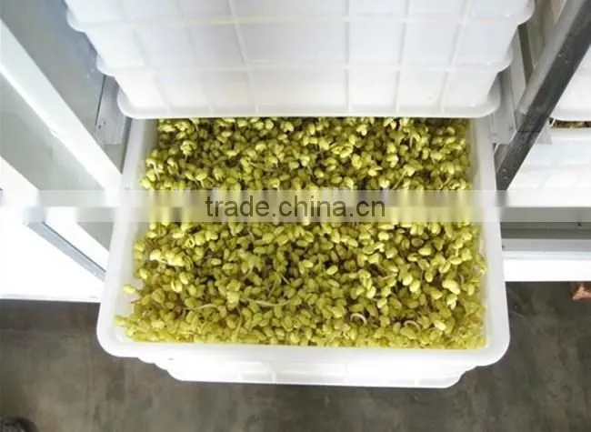 automatic bean sprout machine/bean sprout growing machine