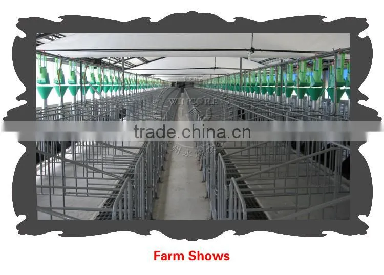 Pig Farming Equipment,Double Limiting Crate
