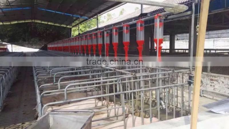 Pig Equipment pig farming systemfor Pigs