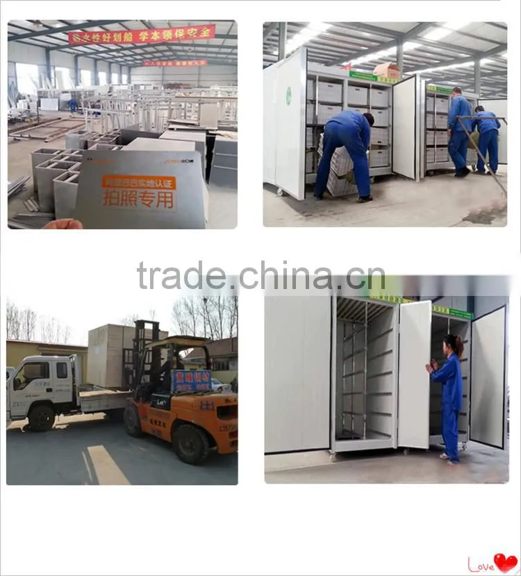 Newly China made automatic bean sprout machine