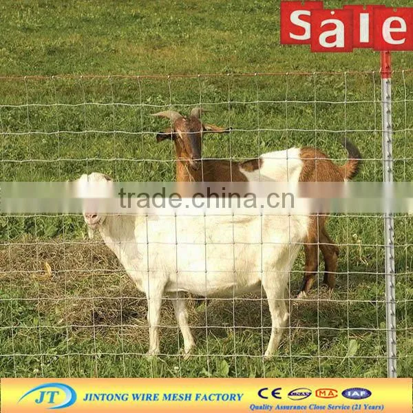 galvanized cheap wire mesh security black horse fences