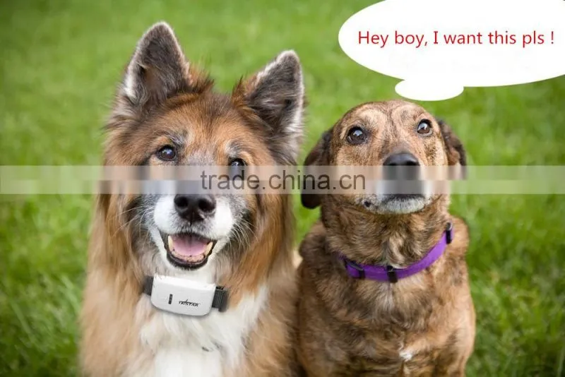 2016 Hot Sale Waterproof GPS Tracker For Pet Mini Pet GPS Tracker 2016