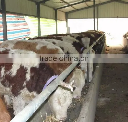 Movable Tractor mounted grass cutter