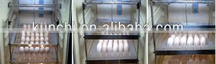 hot sale duck egg incubator with good price