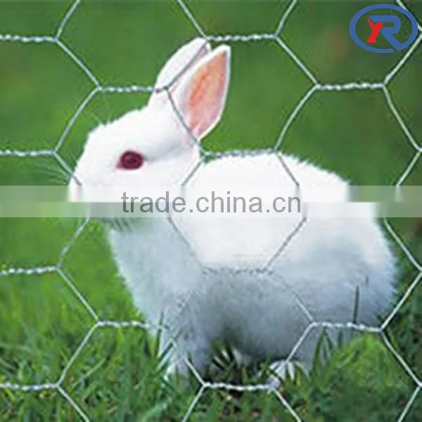 Competitive Price for Hexagonal Wire Mesh