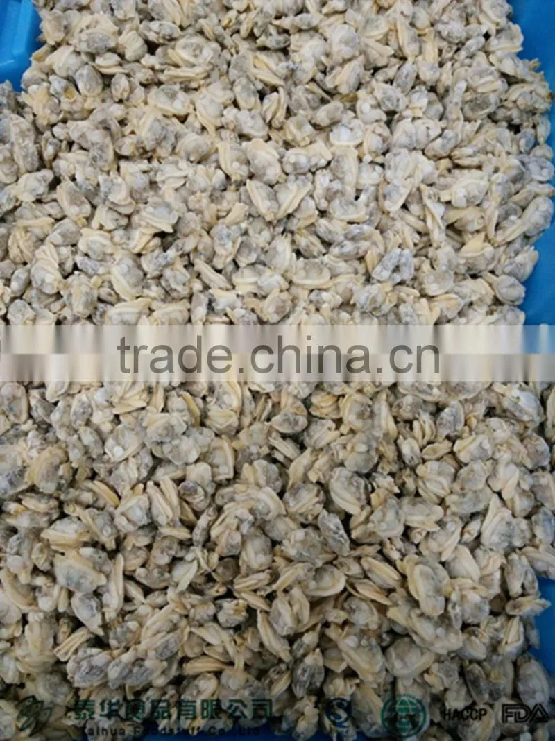 Good quality seafood frozen clam meat on sale