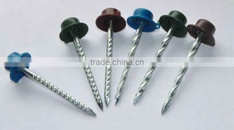 Twist shank roofing nails with plastic cap