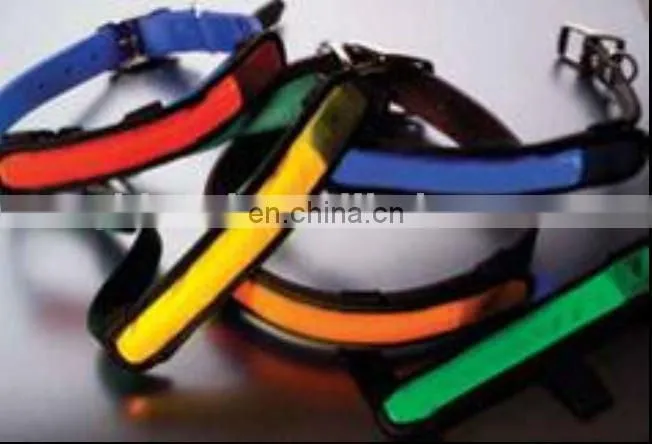 pet collars/leashes with LED light