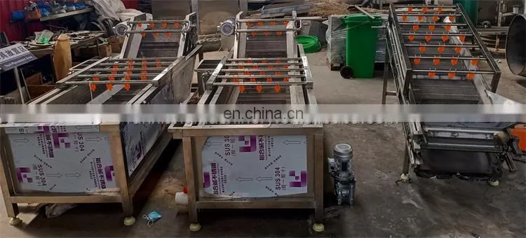 Date palm washing machine fruits and vegetables washing machine zone bubble washing machine
