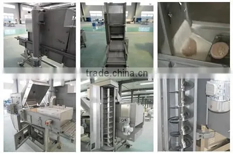 Seafood squid rings starching machine