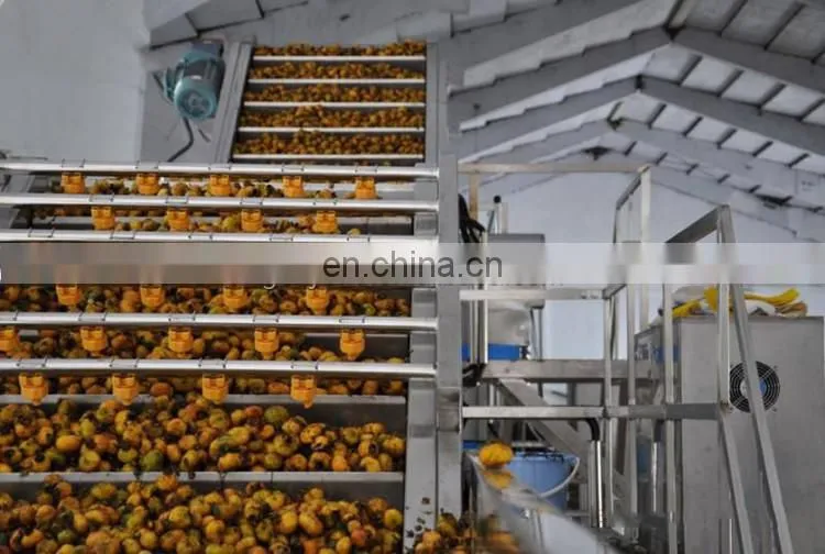 commercial roxburgh rose juice concentrate processing line