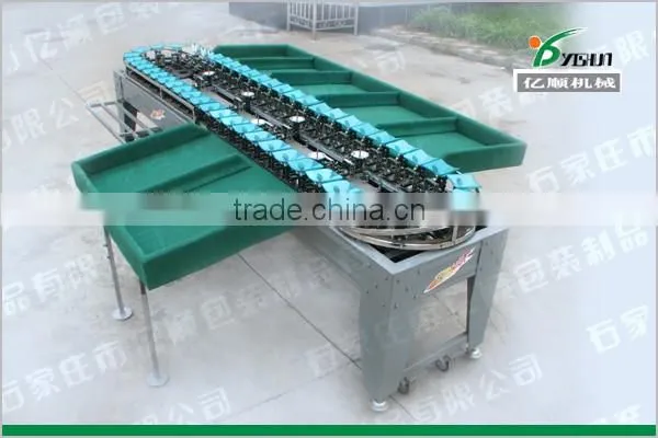 Sorter type onion sorting machine
