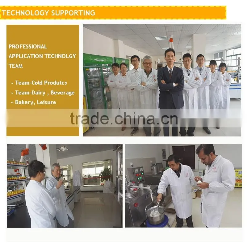 China manufacturer selling flavors soft serve ice cream mix powder