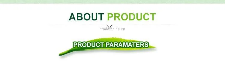 Natural organic maojian freeze dried green tea
