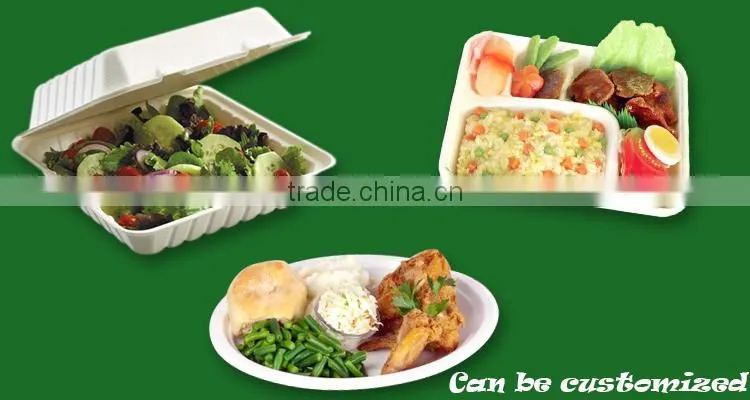 New arrival strictly checked eco-friendly organic paper plates