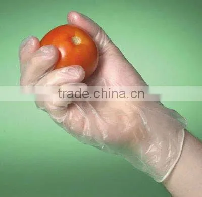 food gloves