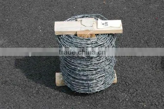 hot-dipped /electric barbed wire /Anping professional factory