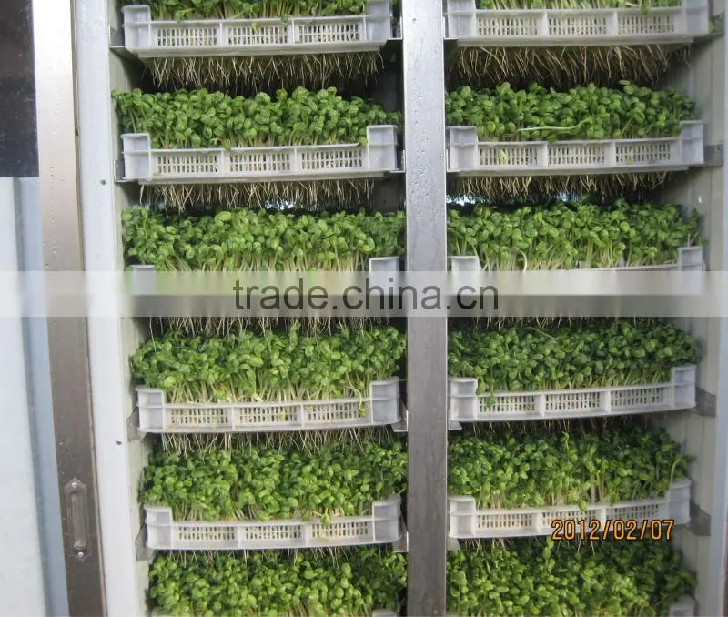 hydropoics fodder/ Seedling planting machine/oat sprout machine/germinated wheat sprout machine