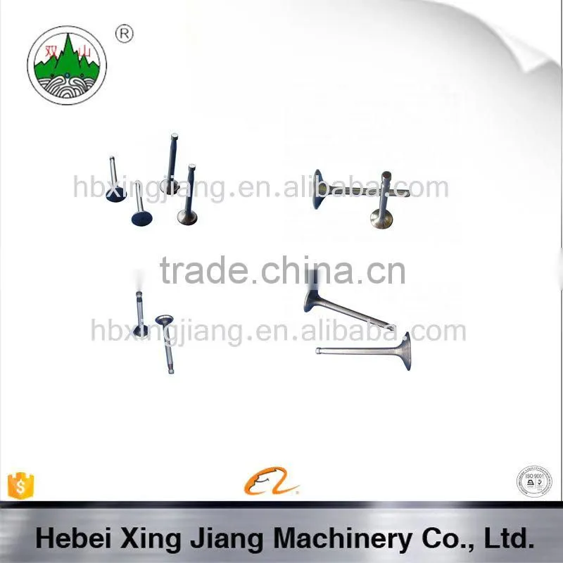 Hebei Diesel Engine Parts S170 Valve For Tractor Engine Parts