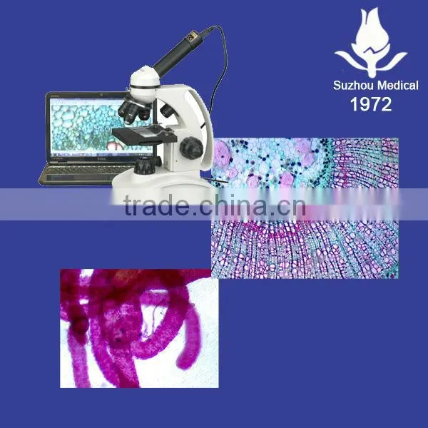 Educational microscope slides