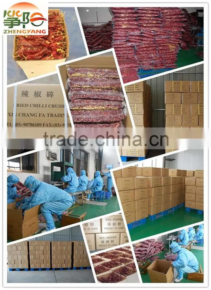 new crop chinese chili FDA /HACCP/SGS certificated red hot pepper powder