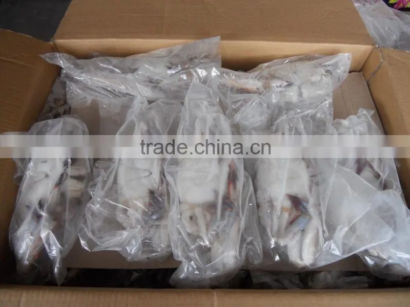 frozen blue swimming crab for sale