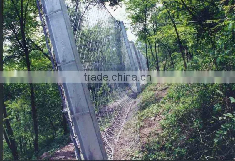 Anping High Quality SNS Protective Fence (Factory)