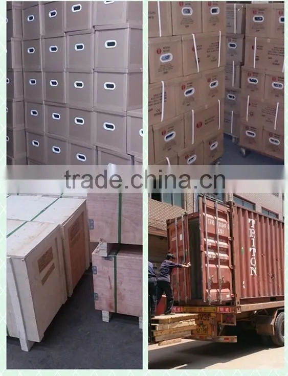 Single Phase ac motor 230v 100w