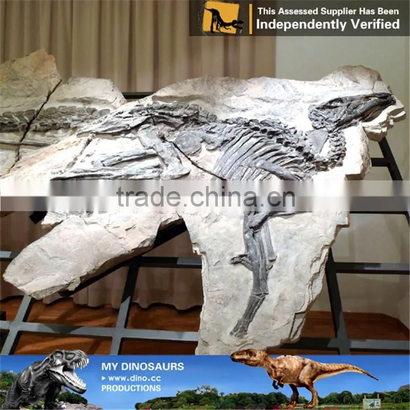 MY Dino-C092 Simulation Dinosaur Fossil Specimens for sale