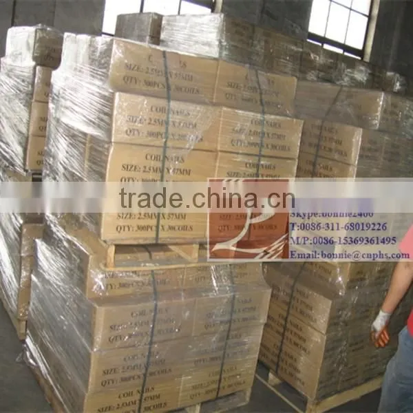 15 Degree Smooth Shank Polished Pallet coil nails