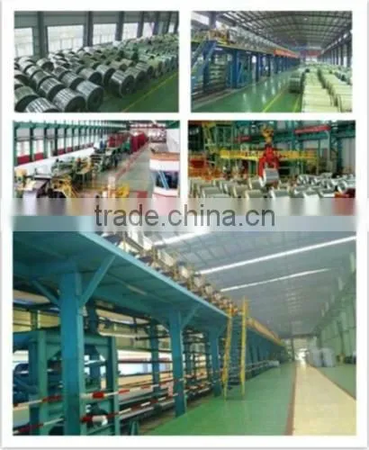 Prepainted steel sheet PPGI/PPGL