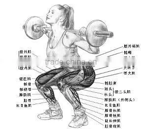 BODY IRON Squat Rack with Safety