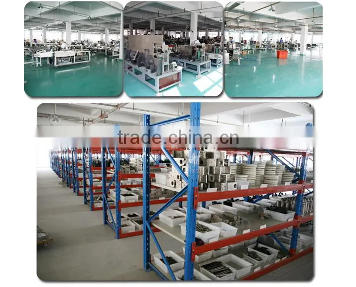 Fully Automatic Ketchup Small Sachet Packing Machine