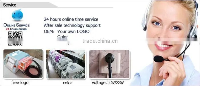 2014 Hottest best portable laser weight loss machine for home