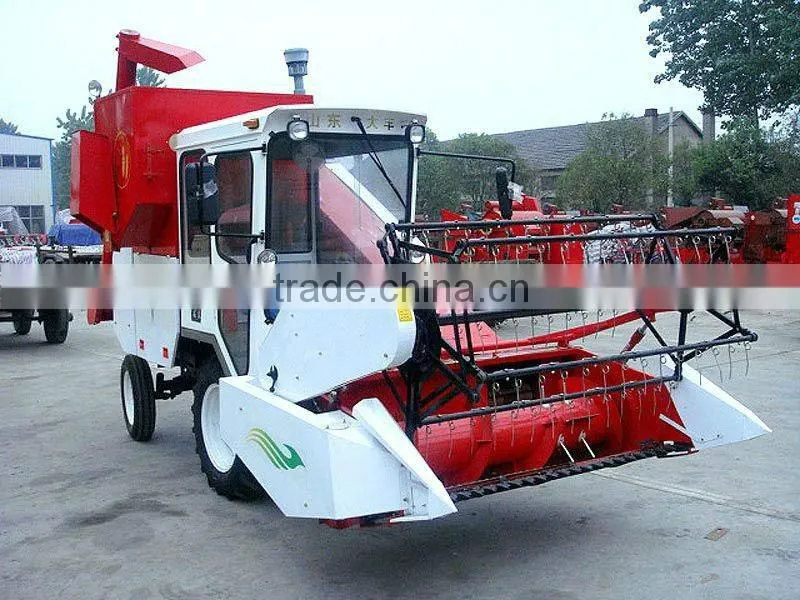 Wheat for sale