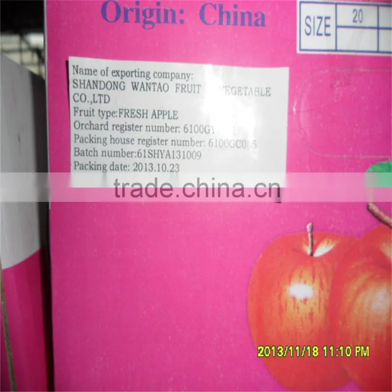Best Price Fresh Thin Peel Fuji Apple