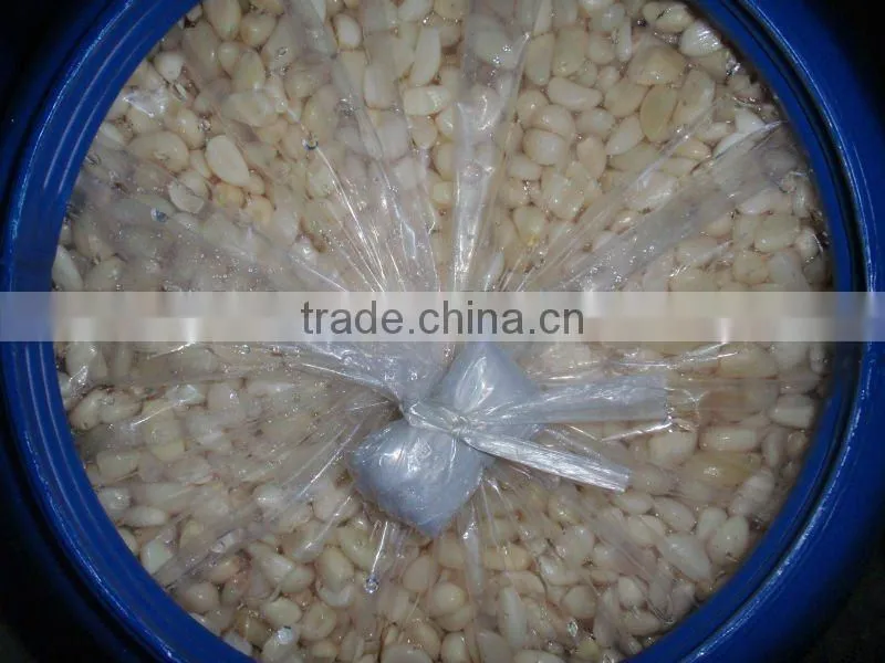 Garlic Cloves in Brine new crop