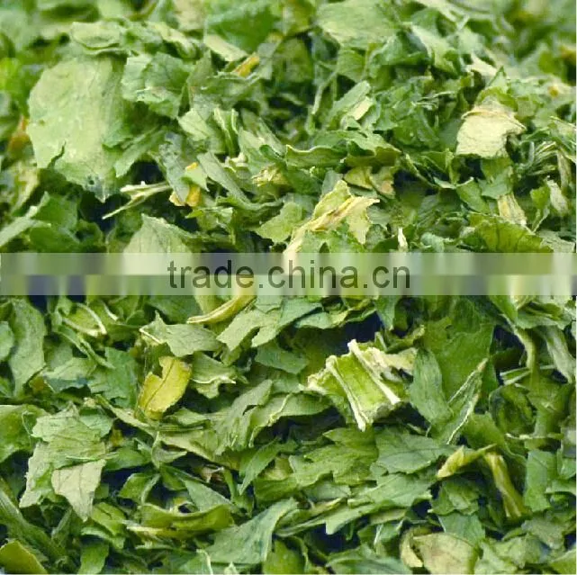 Export products celery seed from online shopping alibaba