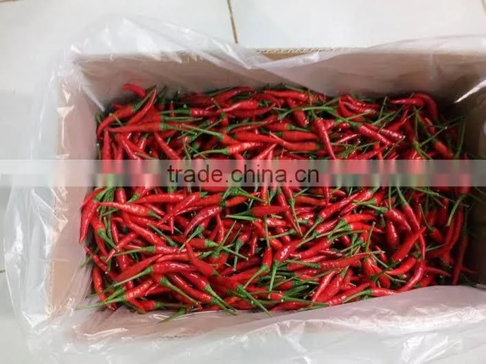 FRESH/DRIED CHILI 2016 CROP (trangnt@kego.com.vn
