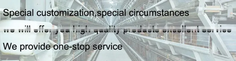 4 tiers high quality chicken cage for sale