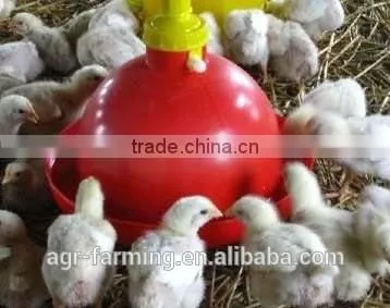 Automatic animal drinker for chicken