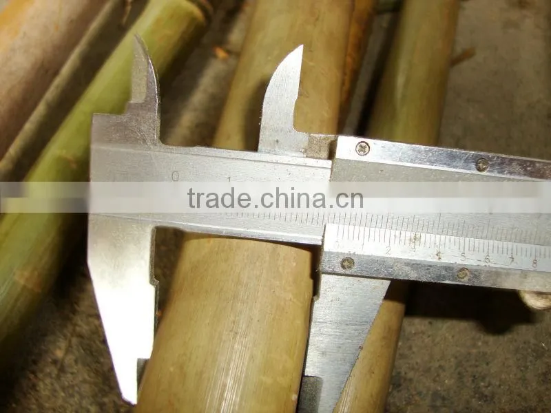 bamboo produce &bamboo cane
