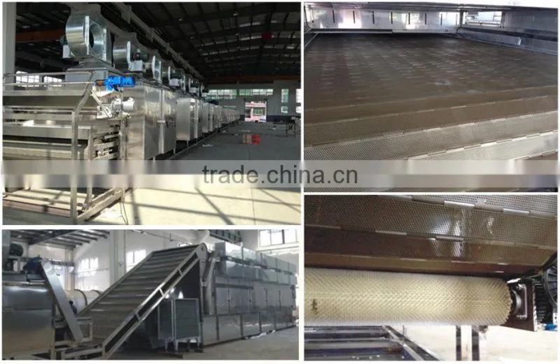 equipment from Guanfeng Food Machinery vegetables drying line