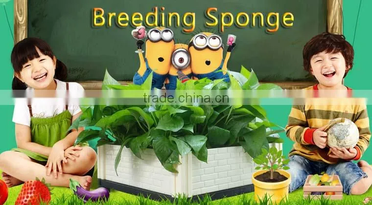 healthy greenhouse stereoscopic Agriculture save space save soil no need fertilizer planting foam