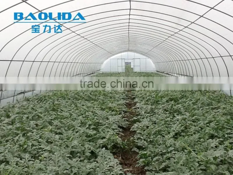 factory price BLD001 plasctic film cover greenhouse for agricultural and commercial use
