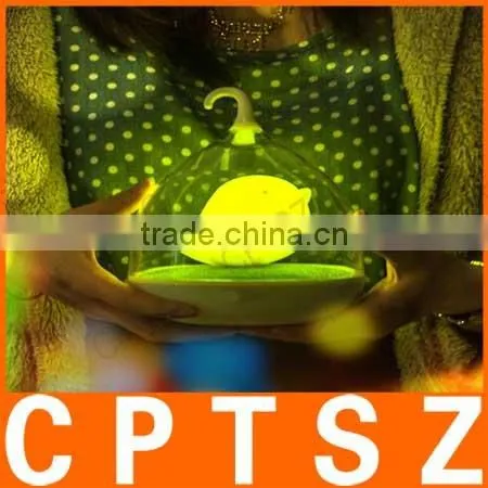New products charge a birdcage lamp led night light cartoon creative sensor lights