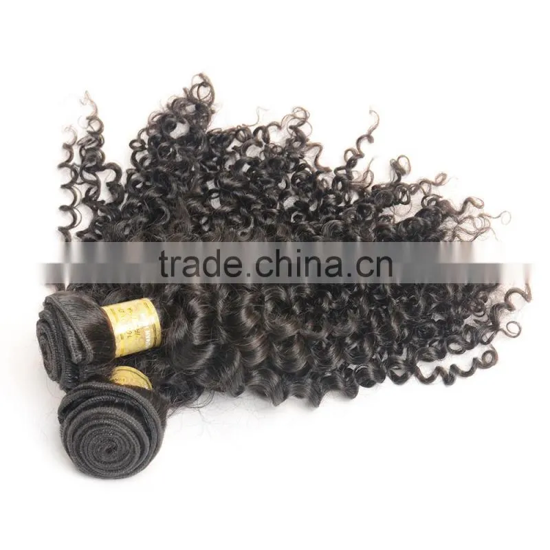 Fast Delivery Online Shop 100% Unprocessed Wholesale Tangle Free No Shedding Curly Raw Virgin Indian Hair