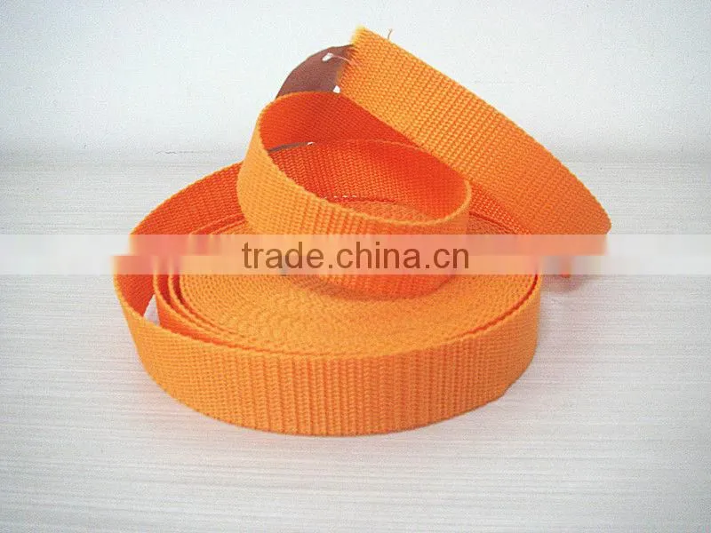 Colorful horse halter--horse halter manufacturer