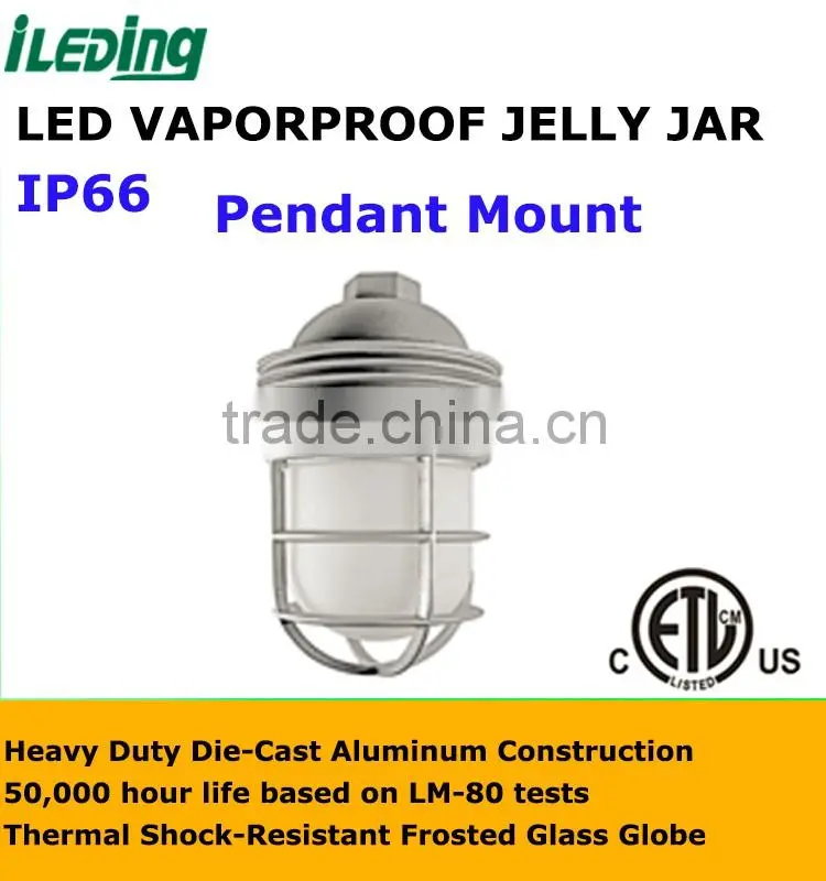 Glass Globe Cast Guard with Pendant Mount Bracket LED Vaporproof Jelly Jar